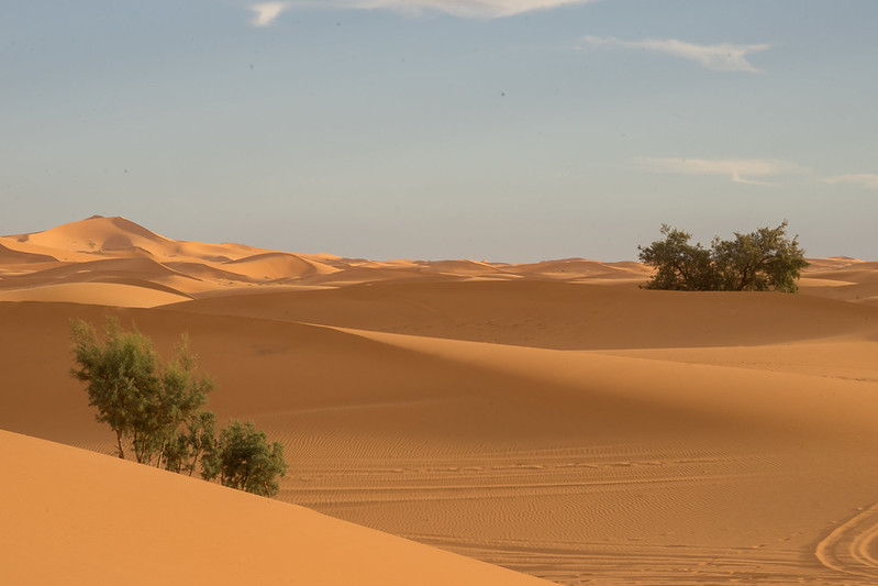 Camel Trekking in Merzouga Desert