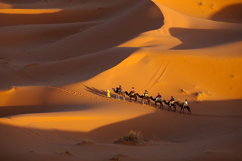 Camel Trekking in Merzouga Desert